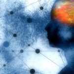 Các nhà khoa học đã khám phá ra cách ‘tải kiến ​​thức trực tiếp lên não’ con người