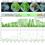 Làm thế nào để một vệ tinh khí tượng mới có thể là một lựa chọn để theo dõi bề mặt đất và biến đổi khí hậu?