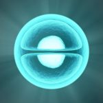 Tiến gần hơn đến việc sản xuất heparin trong phòng thí nghiệm