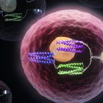 Biến tế bào thành máy tính có cổng logic protein