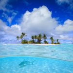 Các rạn san hô phát triển mạnh để ‘có thể có tất cả’?