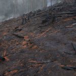 Australia: Cháy rừng gia tăng kích thước và tần suất trên khắp Victoria