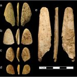Người Neanderthal rất kén chọn việc chế tạo dụng cụ bằng xương