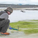 Biến đổi khí hậu sẽ làm biến màu xanh lục ven biển ở Nam Cực