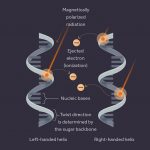 Làm thế nào mà các tia vũ trụ có thể đã định hình cuộc sống của chúng ta?