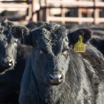 Mô hình cơ sở hạ tầng quan trọng cho thấy các lỗ hổng