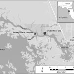 Trong thời kỳ khó khăn, ‘khách du lịch’ cổ đại tìm kiếm sự an ủi trong các bữa tiệc hàu ở Florida