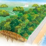 Phương thức mới có thể giúp phòng thủ sóng thần hiệu quả