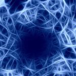 Làm thế nào mà động vật có thể vượt qua nỗi đau mà chúng trải qua từ những kích thích nhất định