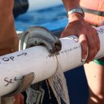 Mức oxy đại dương cổ đại liên quan đến thay đổi carbon dioxide trong khí quyển