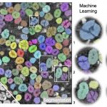 Tầm nhìn máy tính giúp các nhà khoa học nghiên cứu pin lithium ion