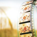 Tháo gỡ một bước quan trọng trong sản xuất oxy quang hợp