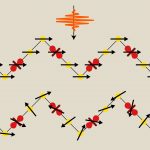 Các nhà khoa học phá vỡ liên kết giữa trạng thái quay và trạng thái quỹ đạo của vật liệu lượng tử