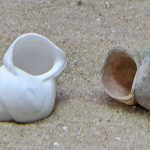 Các nhà khoa học mổ xẻ những lựa chọn phức tạp của động vật