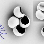 Nhấn ‘tạm dừng’ trên đối xứng tinh thể của thiên nhiên