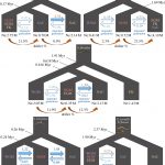 Nghiên cứu cá ngựa và cá chìa vôi mở ra cơ hội cho sự đa dạng di truyền biển