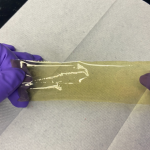 Sử dụng dữ liệu lớn để thiết kế màng tách khí, giảm CO2