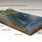 Các nhà khoa học tìm thấy mức độ cao nhất của vi sinh vật dưới đáy biển