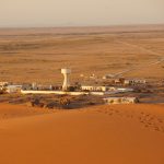 Biến đổi khí hậu: Tác động của sương mù lên thảm thực vật