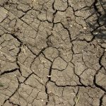 Biến đổi khí hậu: Di sản không mong muốn của mùa xuân ấm áp