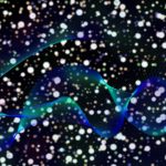 Vật lý nguyên tử: Áp suất bức xạ với độ giật