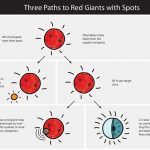 Khoảng 8% ngôi sao khổng lồ đỏ được bao phủ bởi các khu vực tối; những ngôi sao này quay nhanh hơn những ngôi sao khác