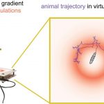 Một hệ thống thực tế ảo dựa trên Raspberry Pi dành cho động vật nhỏ