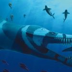 Predator X: Quái vật biển cả đáng sợ nhất kỷ Jura