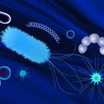 Sinh vật trôi dạt trên biển: Nghiên cứu liên ngành khám phá sự đa dạng của sinh vật phù du