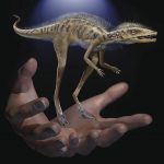 Một họ hàng nhỏ bé của khủng long và pterraels được phát hiện
