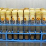 Các nhà vi sinh học làm rõ mối quan hệ giữa đa dạng vi sinh vật và lưu trữ carbon trong đất