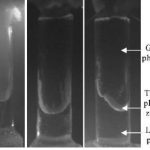 Dưới áp suất, chất đẩy gốc muối không độc hại hoạt động tốt