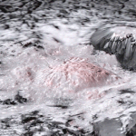 Bí ẩn được giải đáp: Các vùng sáng trên Ceres đến từ nước mặn bên dưới