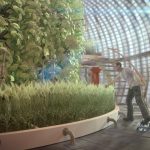 Các nhà địa chất mô phỏng điều kiện đất để giúp phát triển thực vật trên sao Hỏa