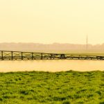 Nghiên cứu cho thấy: Phát thải oxit nitơ gây ra mối đe dọa khí hậu ngày càng tăng