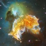 Vòng cây có thể nắm giữ manh mối về tác động của các siêu tân tinh ở xa trên Trái đất