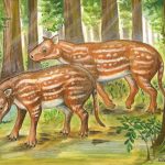 Hóa thạch tại Ấn Độ ủng hộ giả thuyết mới về nguồn gốc của động vật có vú có móng