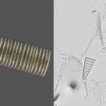 Hóa thạch đại dương nhỏ bé cung cấp bằng chứng quan trọng cho thấy điều gì đã gây ra thời kỳ băng hà