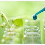 Phân bón làm từ nước tiểu có thể hỗ trợ nông nghiệp vũ trụ