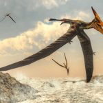 Các nhà cổ sinh vật học tìm thấy tiền thân của loài pterosaur giúp lấp đầy khoảng trống trong lịch sử tiến hóa ban đầu