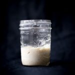 Đời sống và hệ sinh thái vi sinh vật của từng loại bột chua